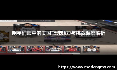 明星们眼中的美国篮球魅力与挑战深度解析