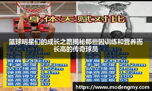 篮球明星们的成长之路揭秘那些因训练和营养而长高的传奇球员